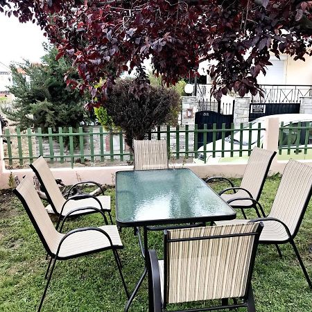 Dimitra'S And Nasia'S Villa 사코우디아 외부 사진