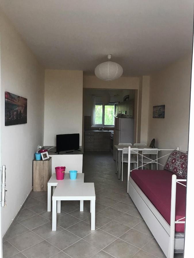 Dimitra'S And Nasia'S Villa 사코우디아 외부 사진